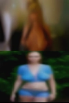 Where find pussy Norman