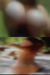 Horny girls fuck woman