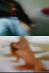 Discreet housewives Centro
