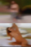 Horny married seniors