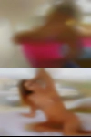 Northern Virginia wife swapping