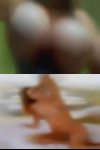 Sexy wives looking black lovers
