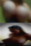 Free horny women phone sex