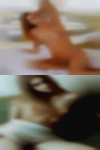 Swingers phone numbers without
